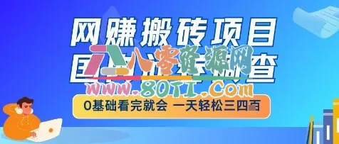 网创搬砖项目，国内问卷调查，小白轻松上手，一天三四张的也不难，干就完了【揭秘】-80资源网